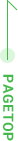 pagetop