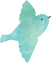 object 
